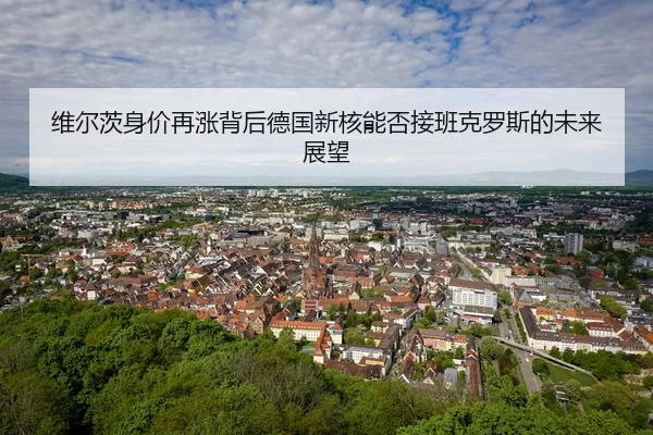 维尔茨身价再涨背后德国新核能否接班克罗斯的未来展望