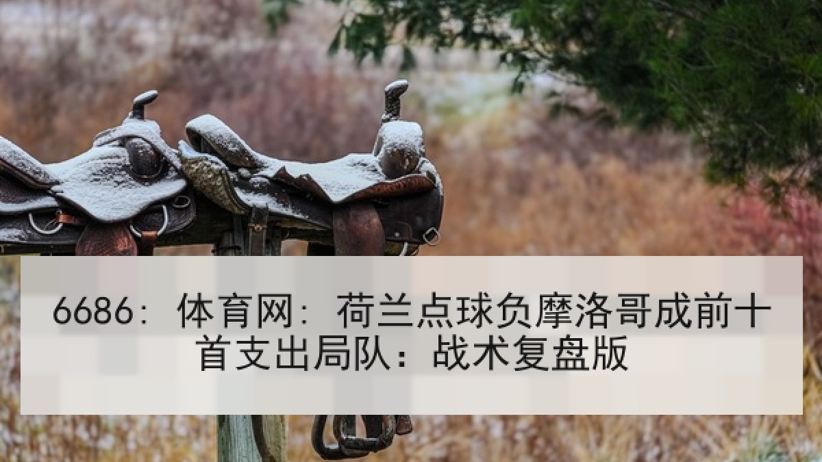 6686: 体育网: 荷兰点球负摩洛哥成前十首支出局队：战术复盘版