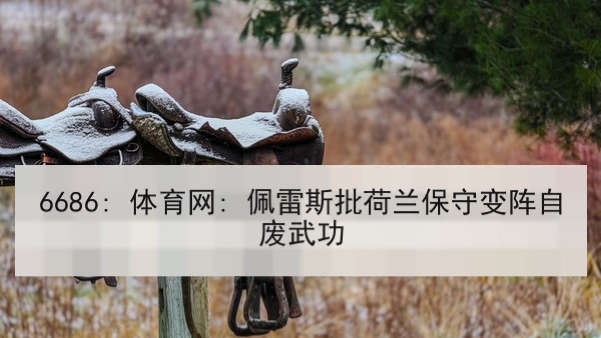 6686: 体育网: 佩雷斯批荷兰保守变阵自废武功