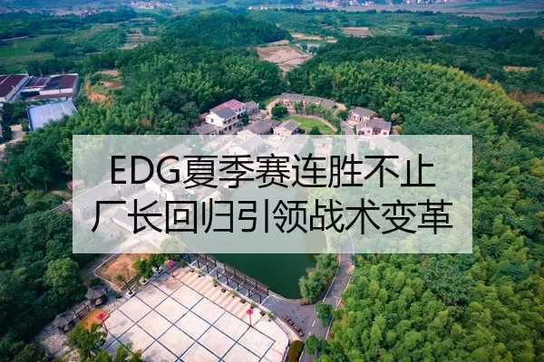 EDG夏季赛连胜不止 厂长回归引领战术变革