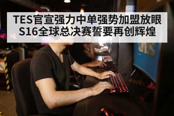 gamer playing computer