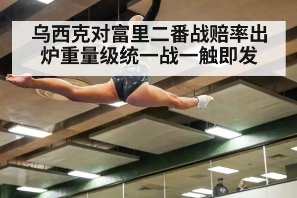 乌西克对富里二番战赔率出炉重量级统一战一触即发